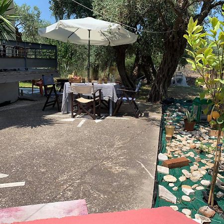 Cactus Suite Prinos  Ngoại thất bức ảnh